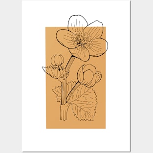 Marsh Marigold Color Block Posters and Art